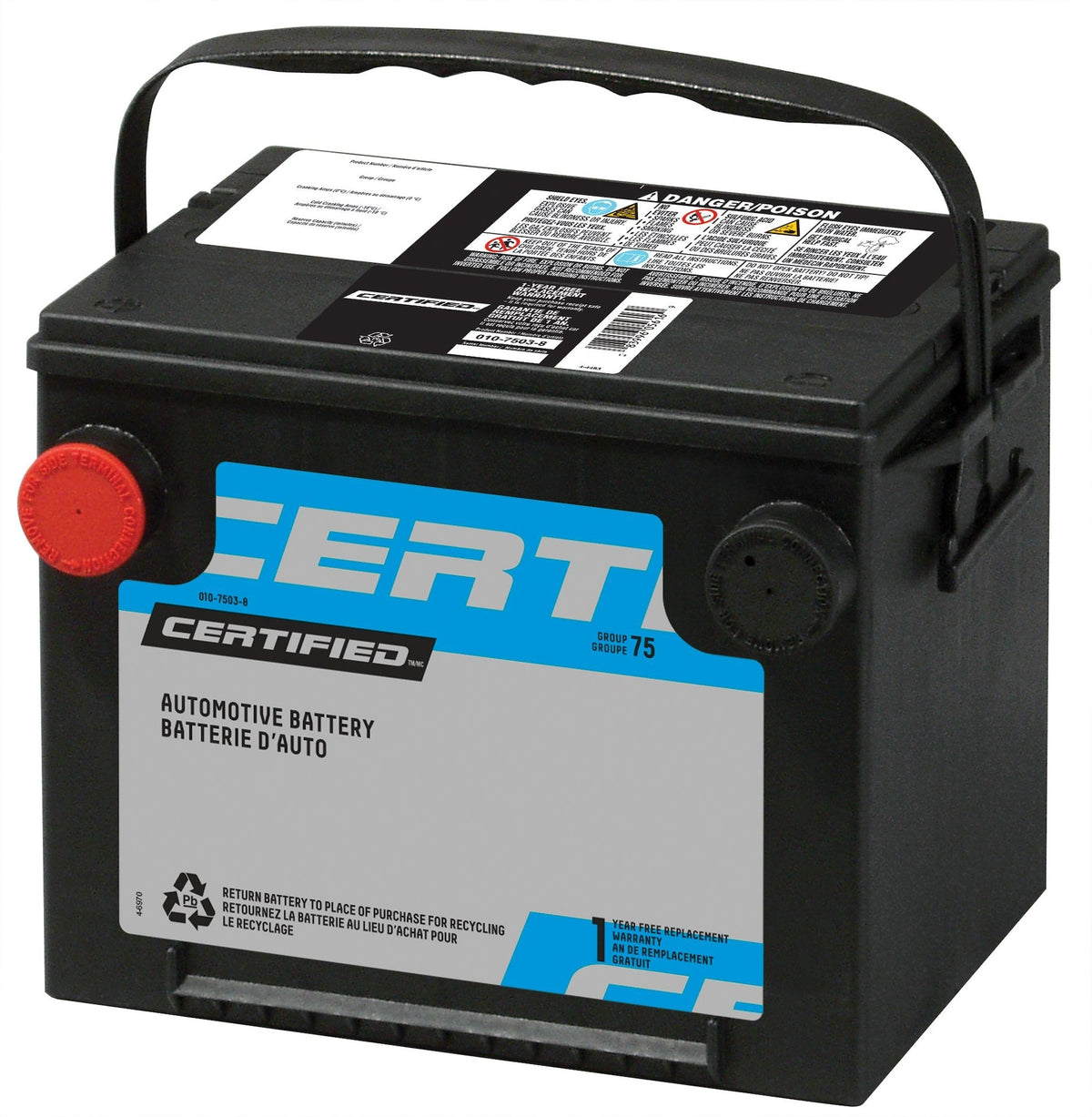 MOTOMASTER Group Size 90 (T5/LB2) Battery, 600 CCA