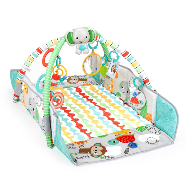 Bright Starts 5-in-1 Your Way Ball Play Gym W8