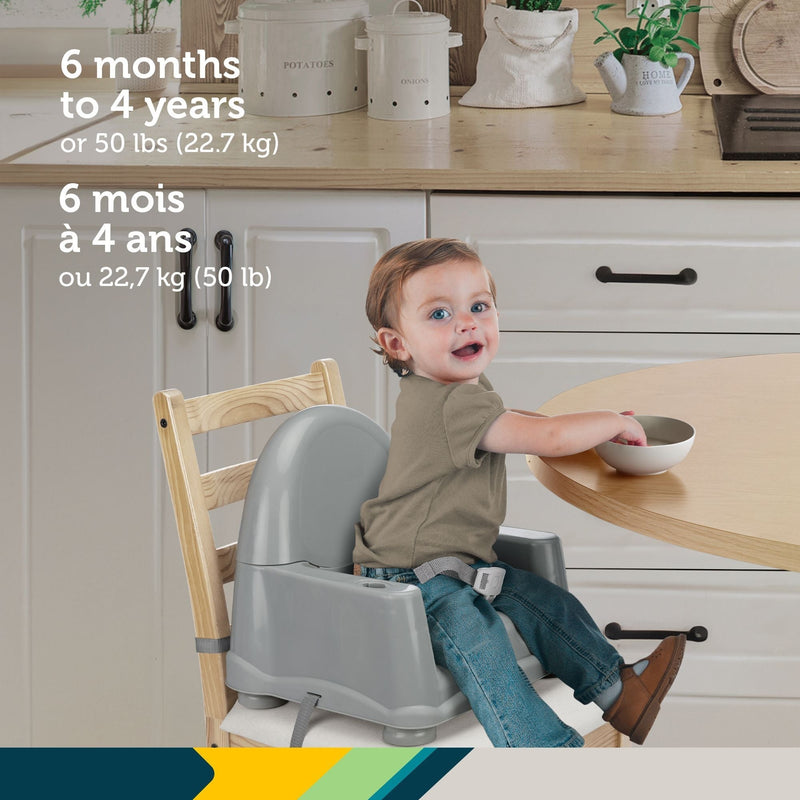 Safety 1st Easy Care Steel Fog Feeding Booster with Swing Tray Q3