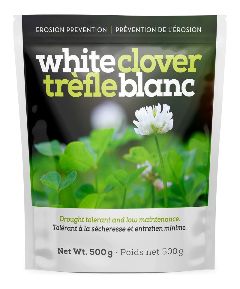 White Clover Erosion Control Grass Seed 500g U7