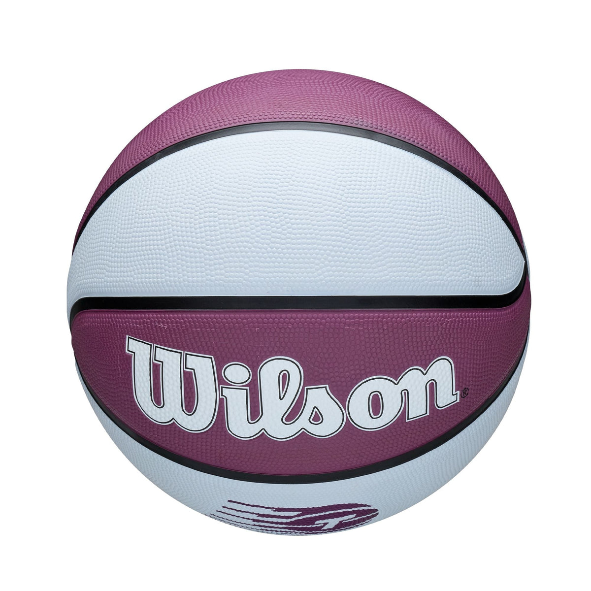 Wilson WNBA Toronto Tempo Team Tribute Basketball, Official Size 6 (28.5-in), Purple
